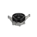 Airtex-Asc 07-00 Jaguar-Lincoln Water Pump, Aw4129 AW4129